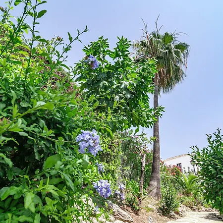 Scandinavian Style Townhouse In Nueva Andalucia * Марбелья